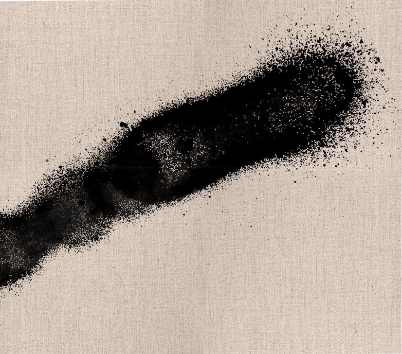 Étude trait 2